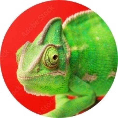 Zoo Critter Adoption Fees