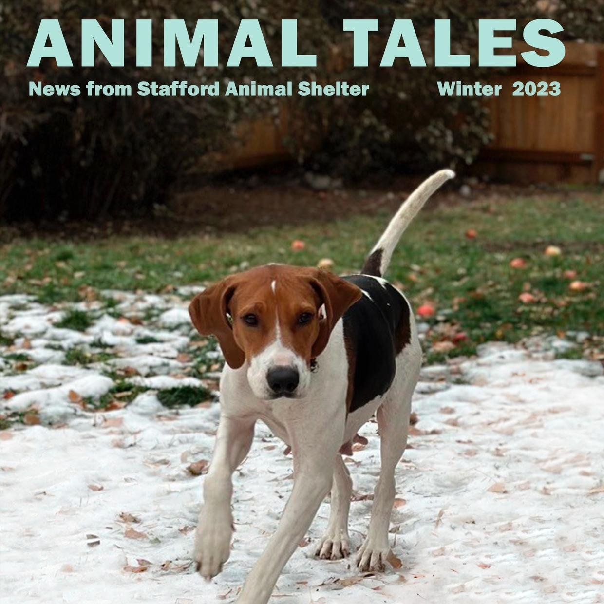 Animal Tales Winter 2023