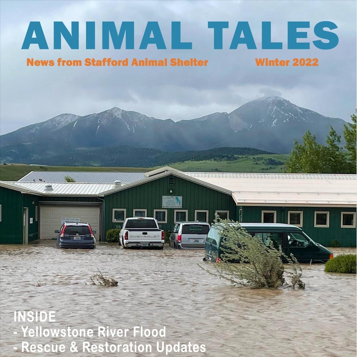 Animal Tales Winter 2022