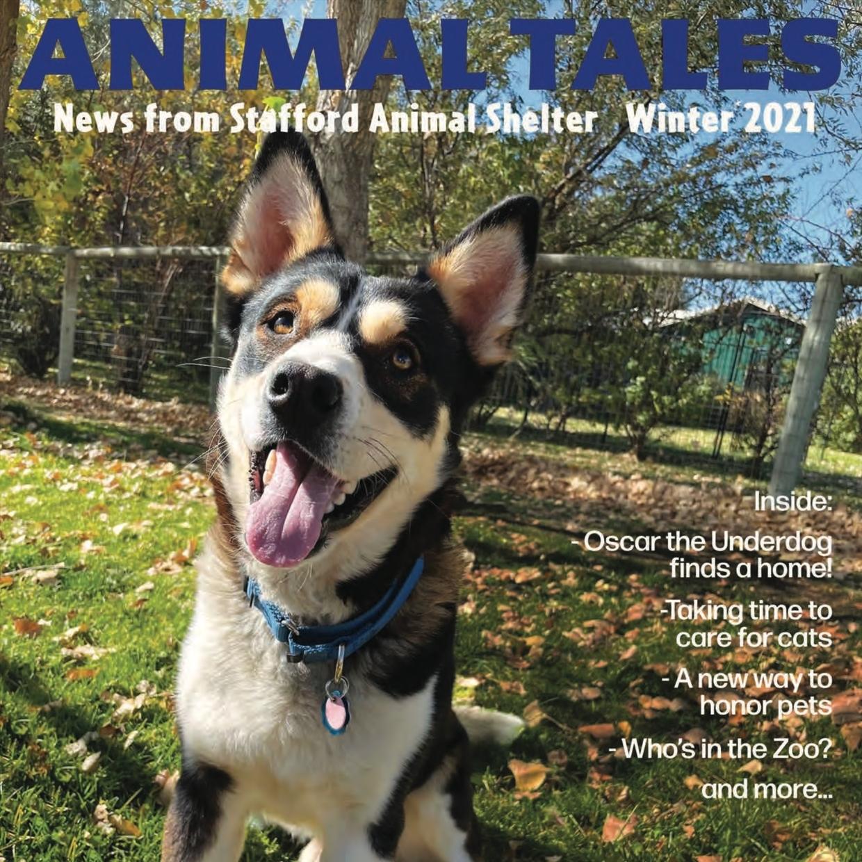 Animal Tales Winter 2021