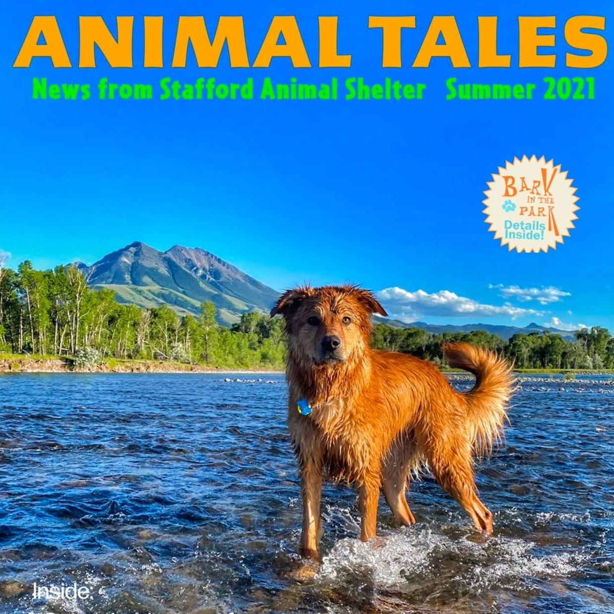 Animal Tales Summer 2021
