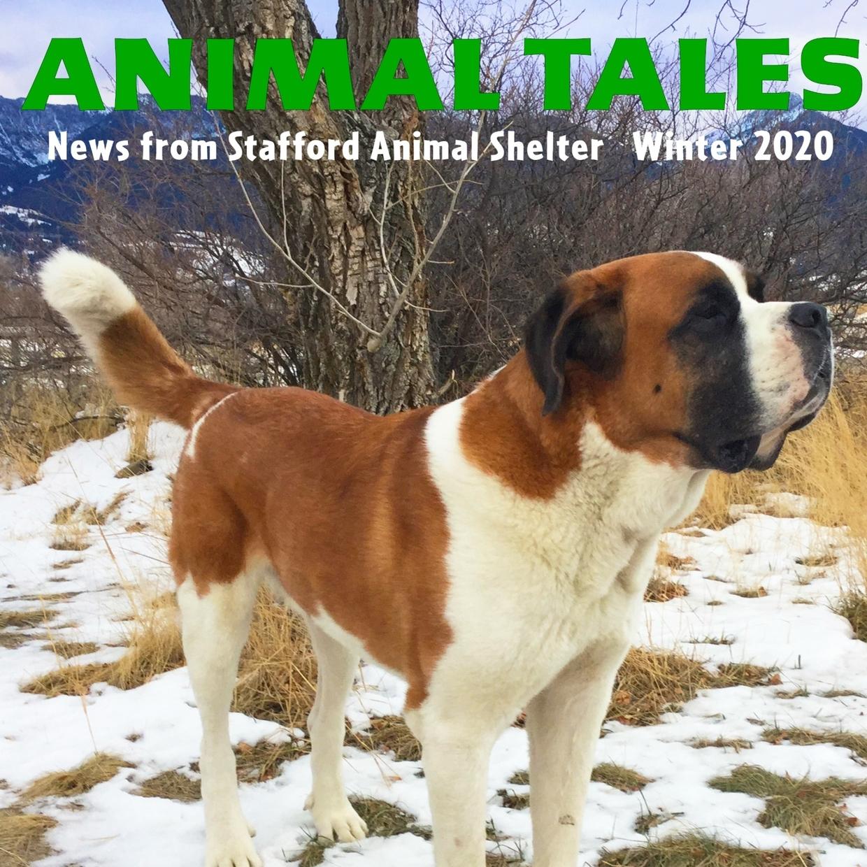 Winter 2020