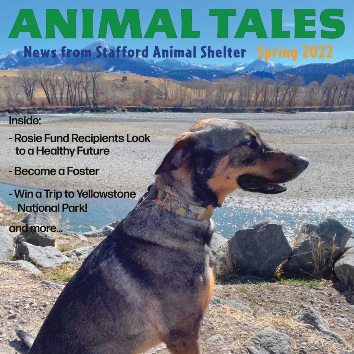 Animal Tales Spring 2022