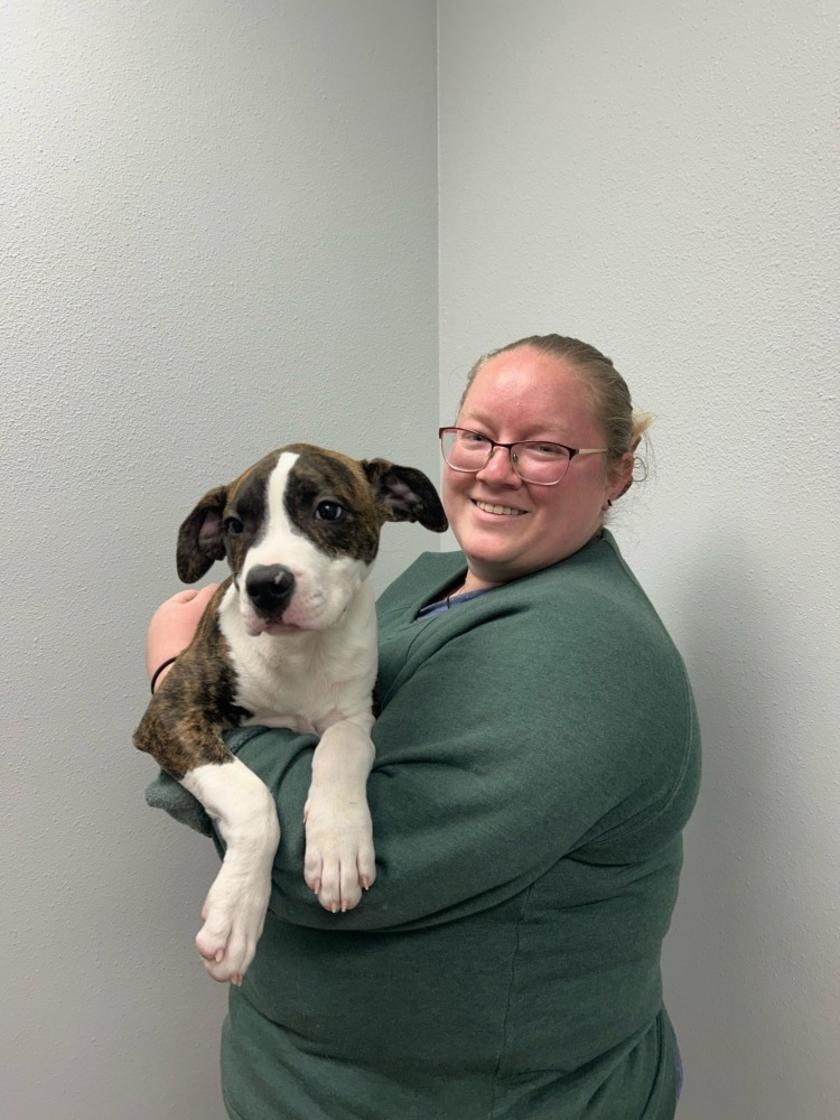 acs@staffordanimalshelter.org